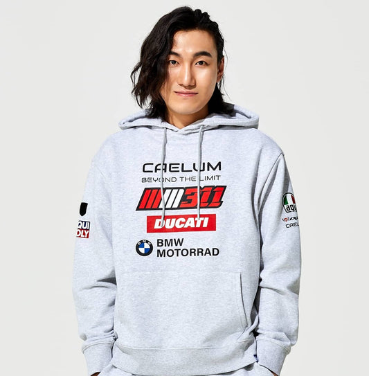 Daypick hoodie (melange grey)